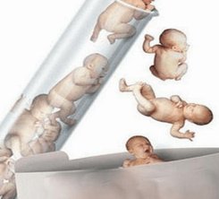 2026在格尔木市罗氏易位能做三代试管婴儿生子吗，相互易位和罗氏易位有什么区别？