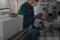 美国生命试管婴儿中心费用清点 贵的离谱都是假话