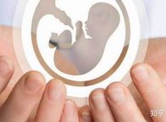 马来西亚三代试管婴儿过程：一次轻松愉快的家庭旅行！