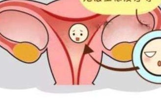 试管婴儿移植前后需谨慎,远离这些禁忌才更容易成功