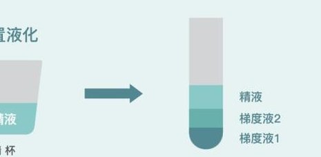 肇东到美国做试管婴儿要花多少钱？成功率高吗？