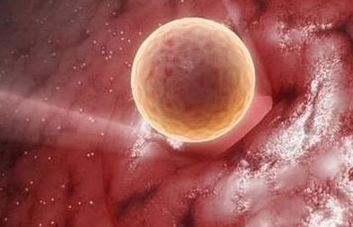 2026单身女性做试管婴儿的全部过程解读，总流程只需6步